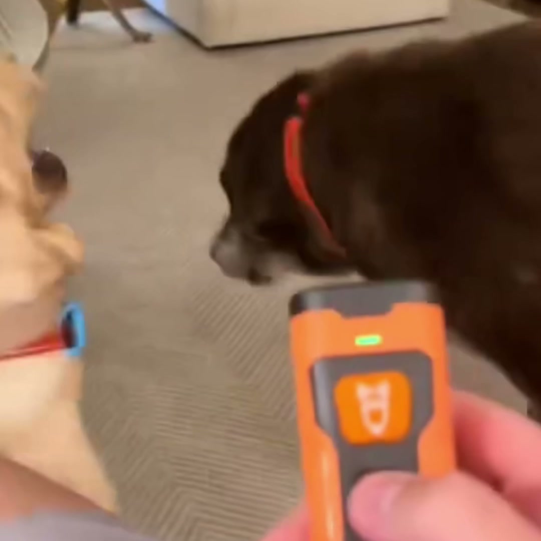 BarkStop™ в ръка