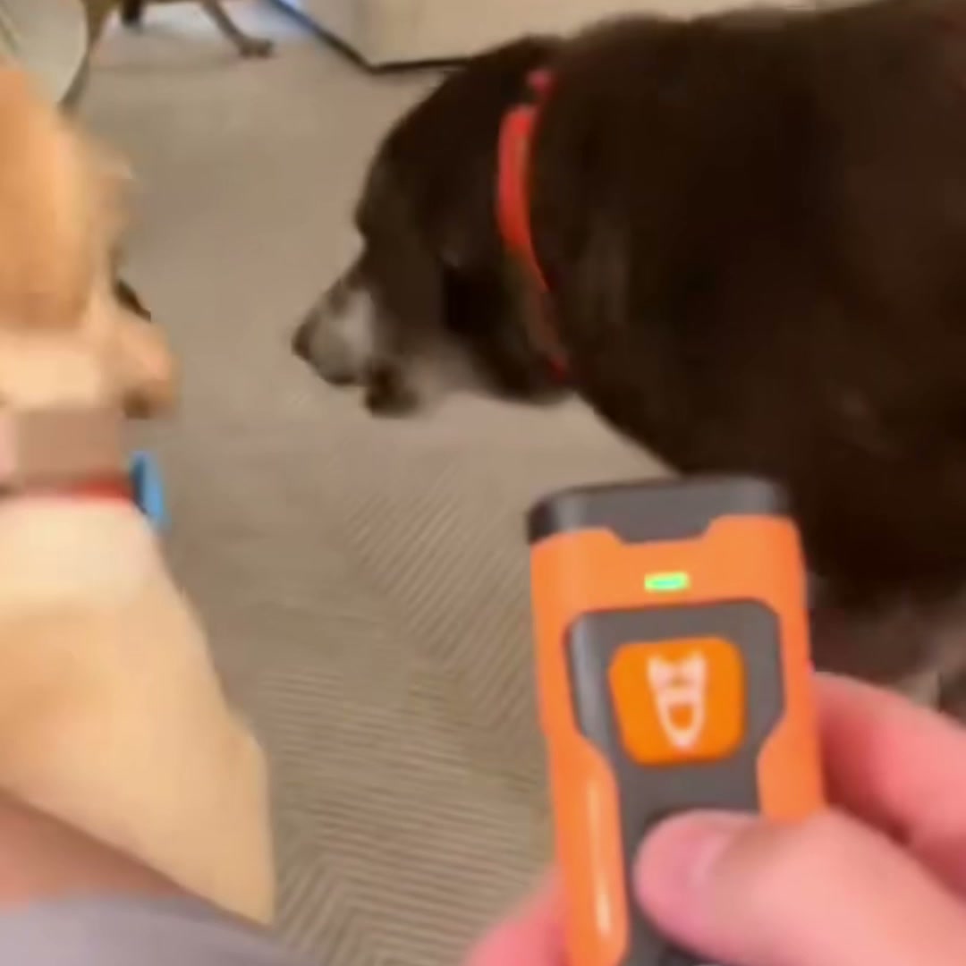 BarkStop™ и куче